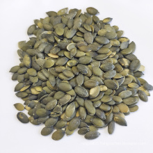 Wholesale Organic Shine Skin Pumpkin Seed Kernels